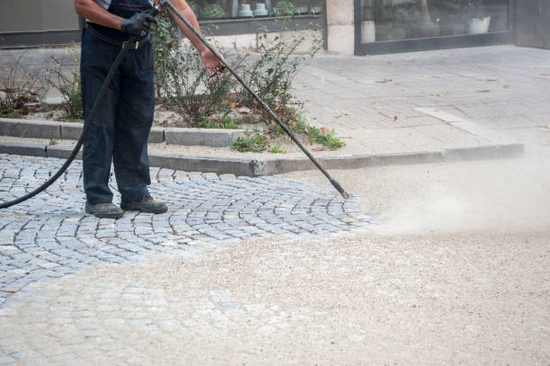 Best Pre-Holiday Cleaning  in Ben Bolt, TX
