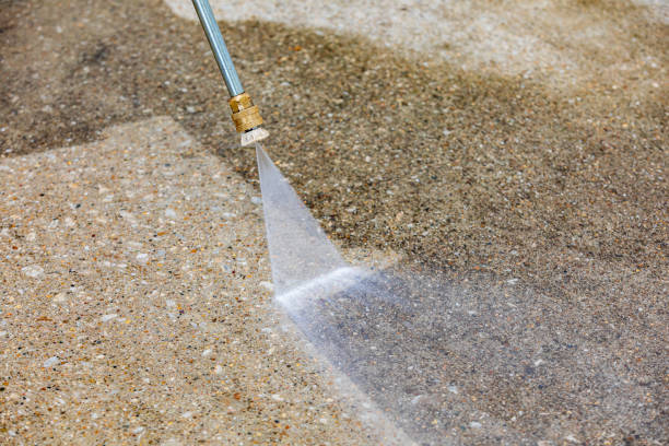 Best Roof Washing  in Ben Bolt, TX
